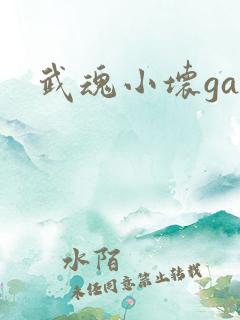 武魂小坏ga
