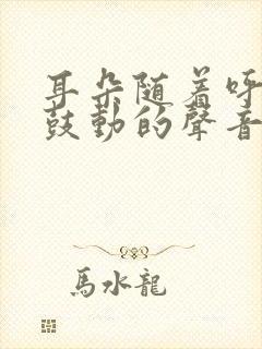 耳朵随着呼吸有鼓动的声音