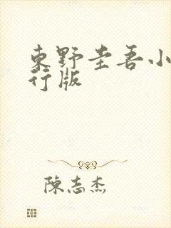 东野圭吾小说排行版 东野圭吾小说排行版