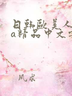 日韩欧美人妻va精品中文字幕