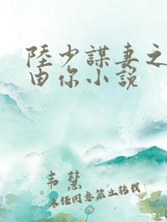 陆少谋妻之婚不由你小说