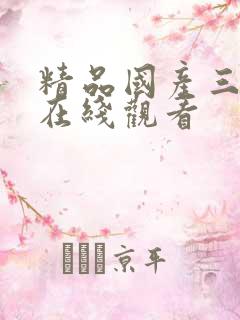精品国产三级a在线观看