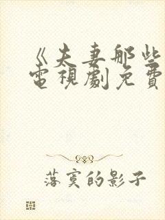 《夫妻那些事》电视剧免费观看