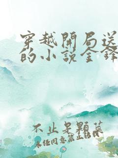穿越开局送老婆的小说金锋