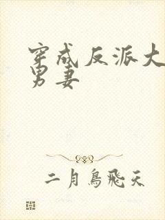穿成反派大佬的男妻