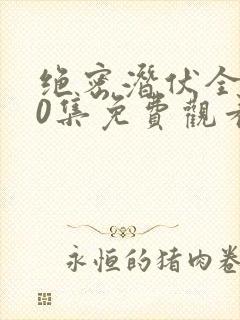 绝密潜伏全集40集免费观看