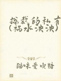 总裁的私有宝贝(祸水泱泱)