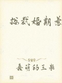 总裁婚期惹人爱