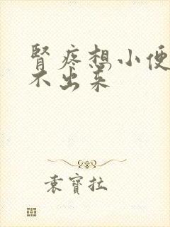 肾疼想小便又尿不出来