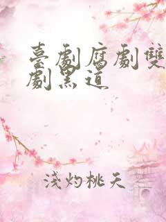 台剧腐剧双男主剧黑道