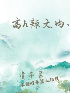 高h辣文肉小说