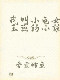 我叫小龟女友叫王燕的小说