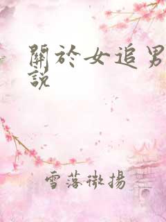 关于女追男的小说