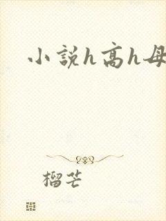 小说h高h母子