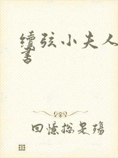 续弦小夫人电子书