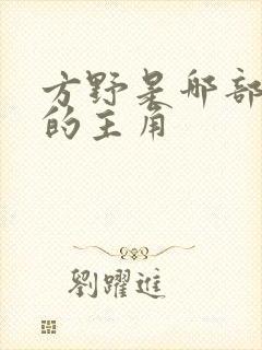 方野是哪部小说的主角