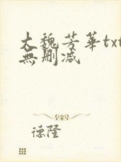 大魏芳华txt无删减