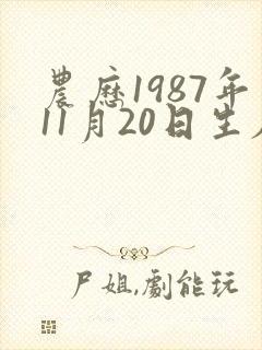 农历1987年11月20日生辰八字