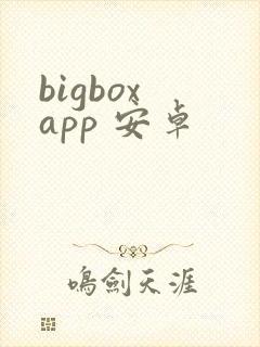 bigbox app 安卓