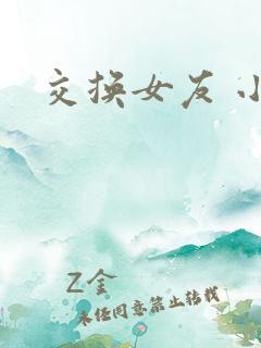 交换女友 小说