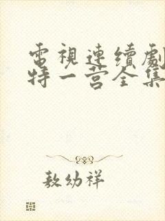 电视连续剧我的特一营全集完整版