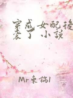 穿成女配后我逆袭了 小说