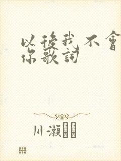 以后我不会再爱你歌词