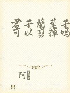君子兰叶子发黄可以剪掉吗