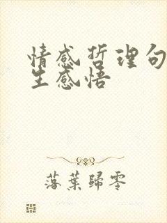 情感哲理句子人生感悟