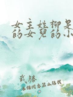 女主姓柳是丞相的女儿的小说