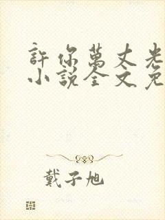 许你万丈光芒好小说全文免费阅读免费