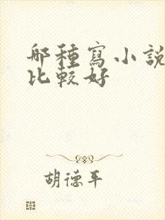 哪种写小说软件比较好