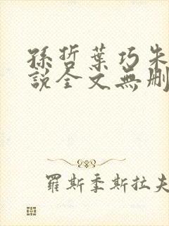 孙哲叶巧朱颜小说全文无删减免费阅读