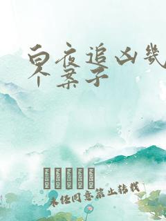 白夜追凶几集一个案子