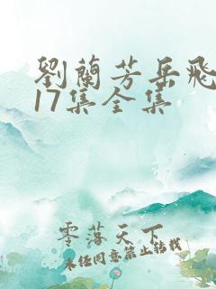 刘兰芳岳飞传117集全集