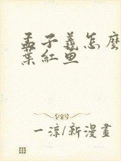 孟子义怎么不演叶红鱼