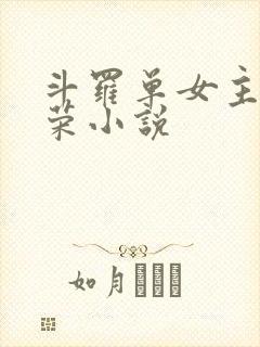 斗罗单女主宁荣荣小说
