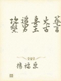攻追妻火葬场的双男主古言