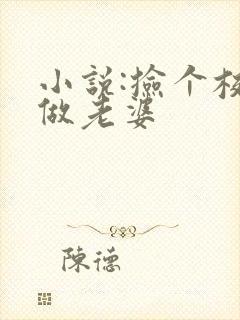 小说:捡个校花做老婆