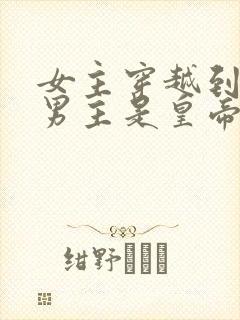 女主穿越到古代男主是皇帝的小说