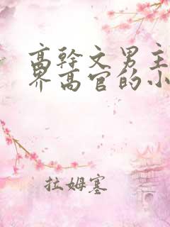 高干文男主是政界高官的小说