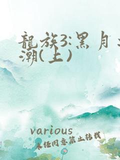 龙族3:黑月之潮(上)