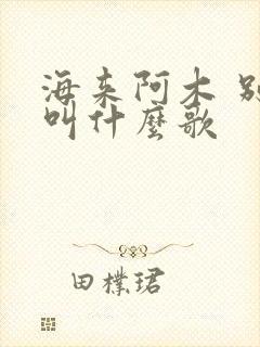 海来阿木 别哭叫什么歌
