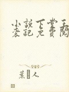 小说下堂王妃逆袭记免费阅读