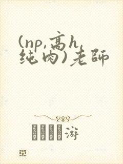 (np,高h,纯肉)老师