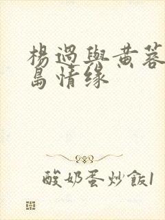 杨过与黄蓉之荒岛情缘