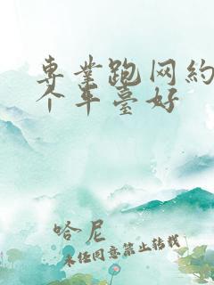 专业跑网约车哪个平台好