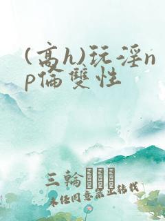 (高h)玩淫np伦双性