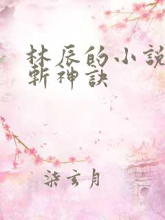 林辰的小说九天斩神诀