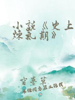 小说《史上最强炼气期》